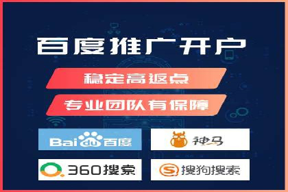 竞价排名与自然排名的对比案例
